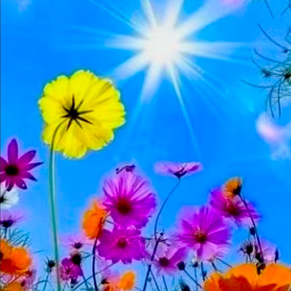 Have a bright and beautiful day!